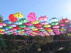 卡通伞蓬-欢乐松鼠谷