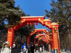 -长春市南湖公园