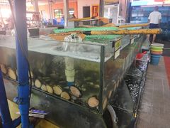 -岛中岛·海鲜大排档·万宁老字号(东澳店)