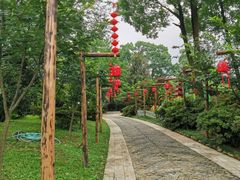 -南山植物园