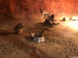 -酷嗒动物文化乐园(cutezoo西溪乐天城店)