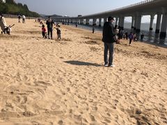 -演武大桥观景平台