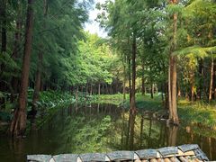 -尚湖风景区