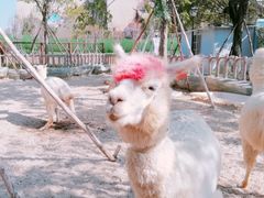-广州融创文旅城