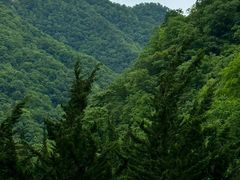 -老君洞旅游度假区