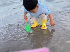 -南汇嘴观海公园