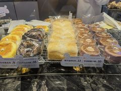 -TD66高山铁皮石斛养生茶饮