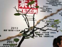 -澜沧古茶·商务茶馆(萧山人民广场店)