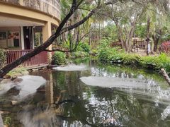 -三亚海棠湾南田温泉神龙谷