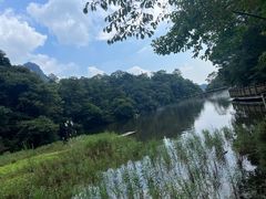 -青城山
