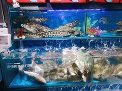 -盒马鲜生(馥邦国际店)