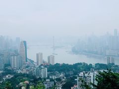 -南山植物园