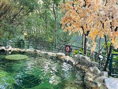 -湖泉半山温泉