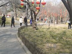 -丰台花园