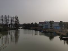 -上海长兴岛郊野公园