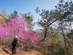-天台山赤城山景区