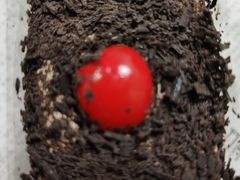 -静安面包房(万航渡路店)