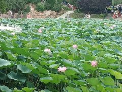 -富斯特索道