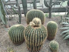 -南山植物园