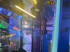 -移动谜城·大笨象密室逃脱(五棵松店)