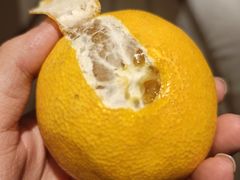 -西归浦每天偶来市场