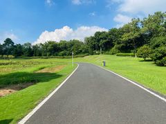 -宜兴龙背山森林公园