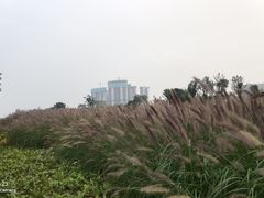 -府河摄影公园
