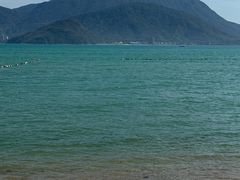 -LOOKA COFFEE(大鹏所城店)