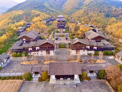 -大唐贡茶院