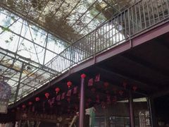 -长鹿旅游休博园