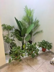 -VE专注问题肌·赛诺龙&科学美肤中心