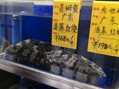 -頂好酒家·经典粤菜(海信广场店)