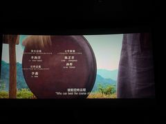 -CGV影城(滨江天街IMAX店)