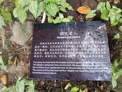 -七仙岭君澜度假酒店