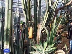 -国家植物园南园