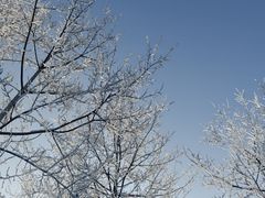 -秦岭终南山世界地质公园翠华山景区