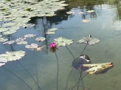 -那考河湿地公园