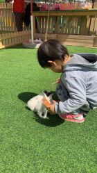 点击看大图 -萌宠亲子动物乐园(槐房万达店)