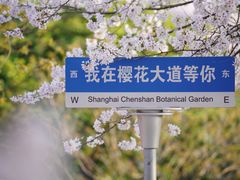-上海辰山植物园