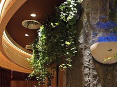 -巴奴毛肚火锅(龙湖锦艺城店)