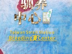 -广东惠东海龟国家级自然保护区