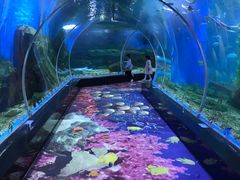 -顺德南宏海立方海洋公园
