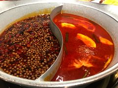 -青瓷火锅料理(西单大悦城店)