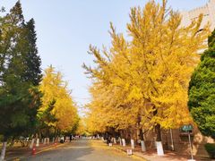 -辽宁大学(崇山校区)