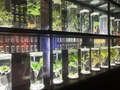 -广东中医药博物馆
