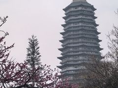 -红梅公园