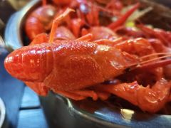 -蚝翅·海鲜粥·烧烤·宁夏滩羊季(玉米楼店)