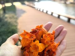 -海花岛旅游度假区
