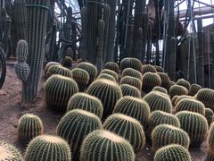 -南山植物园