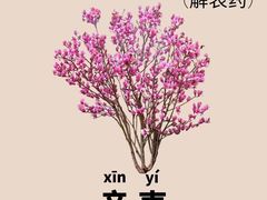 -平原博物院